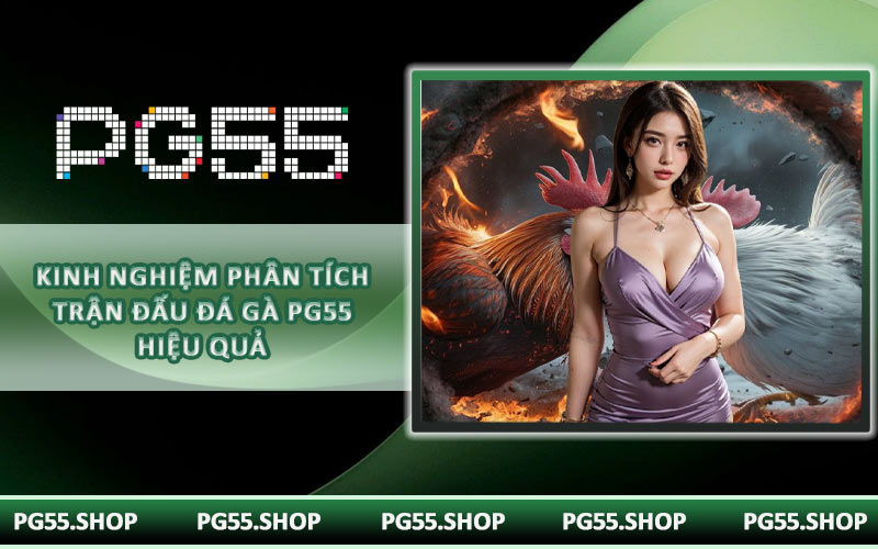 Kinh nghiệm phân tích trận đấu đá gà PG55 hiệu quả