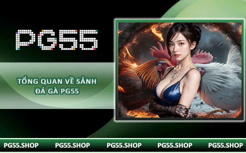Tổng quan về sảnh đá gà PG55